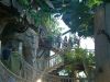 haus_des_meeres_29