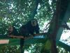 haus_des_meeres_31