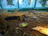 haus_des_meeres_34