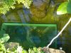 haus_des_meeres_46