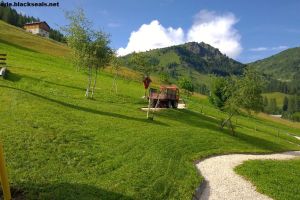 Sommertour 2014