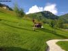 hotel_alpenrose_26