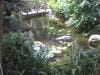 hotel_mercure_cairns_029