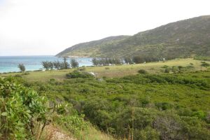 Lizard Island, Australien