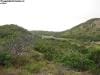 lizard_island_australia_007