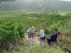 lizard_island_australia_019