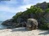 lizard_island_australia_026