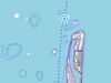north-male-atoll-01