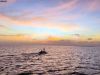 vaavu-atoll-10