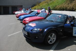 MX5 Rallye 2013, Ennstal