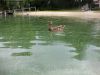 neufelder_see_01