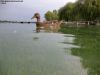 neufelder_see_03
