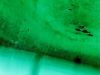 neufelder_see_17