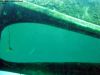 neufelder_see_18