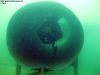 neufelder_see_20