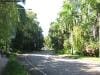 palm_cove_australia_001