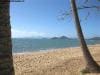palm_cove_australia_004