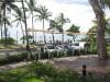 palm_cove_australia_012
