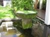 palm_cove_australia_013