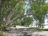 palm_cove_australia_014