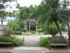palm_cove_australia_015