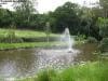 palm_cove_australia_023