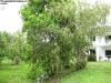 palm_cove_australia_026
