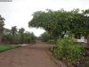 puerta-ayora_santa-cruz_19