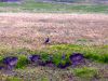 quito_ecuador_56
