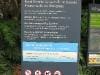 royal_botanic_garden_sydney_004