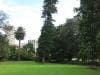 royal_botanic_garden_sydney_009