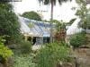 royal_botanic_garden_sydney_015