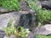 royal_botanic_garden_sydney_017