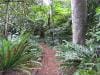 royal_botanic_garden_sydney_020