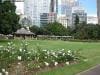 royal_botanic_garden_sydney_027