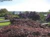 royal_botanic_garden_sydney_030