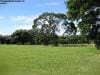 royal_botanic_garden_sydney_035