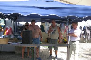 Schatzsuche 2012, Austria 