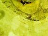 lorenc_schatzsuche_2016-06