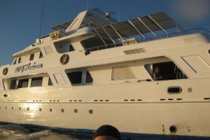 Schiff M/Y Horizon