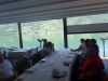 mx5_muehlbach_2k17_045