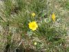 mx5_muehlbach_2k17_078