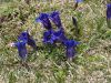 mx5_muehlbach_2k17_080