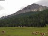 dolomiten_049