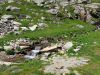 sommertour-2021_17