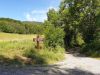 sommertour-2021_40