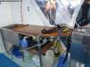 spirit_of_freedom_054