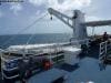 spirit_of_freedom_110