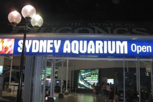 Sydney Aquarium