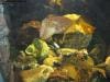 sydney_aquarium_008